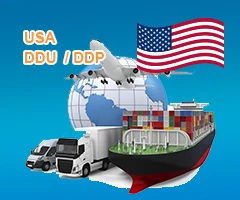 cheap sea freight forwarder door to door shipping agent from China to USA