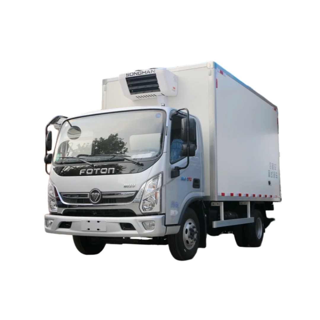 LHD Foton Aumark E -18 Degree Deep Frozen Cargo Refrigerated Truck