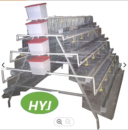 Chicken Egg Cage Chicken Mesh Cages Broiler Chickens