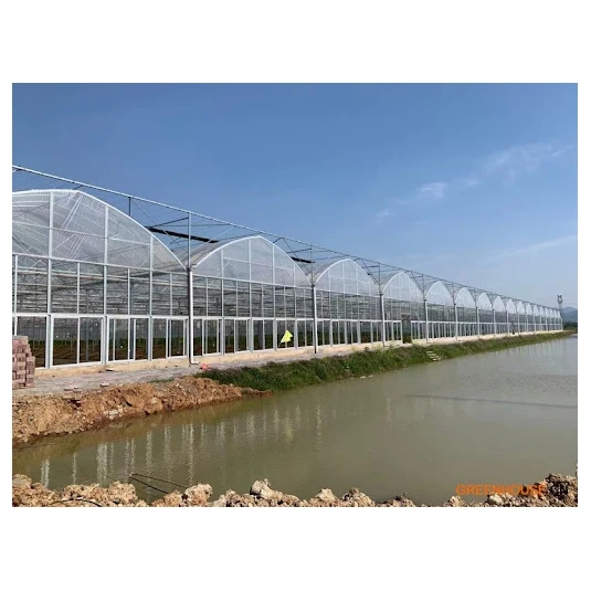 Multi-span film greenhouse supply textured smart greenhouse engineering agricultural with hydroponic