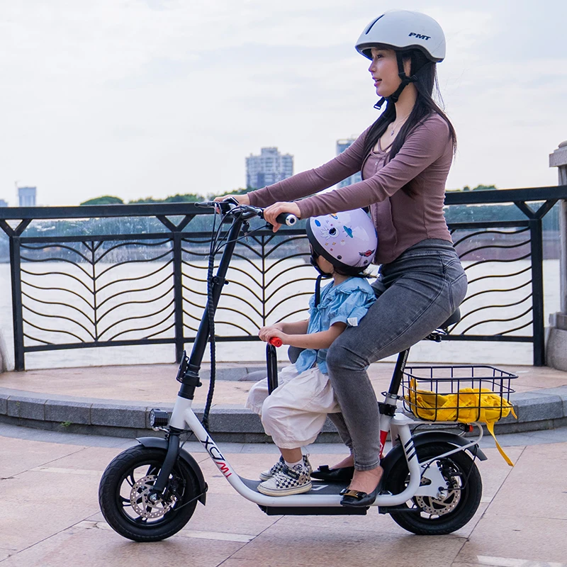 12inch e scooter-ddddf