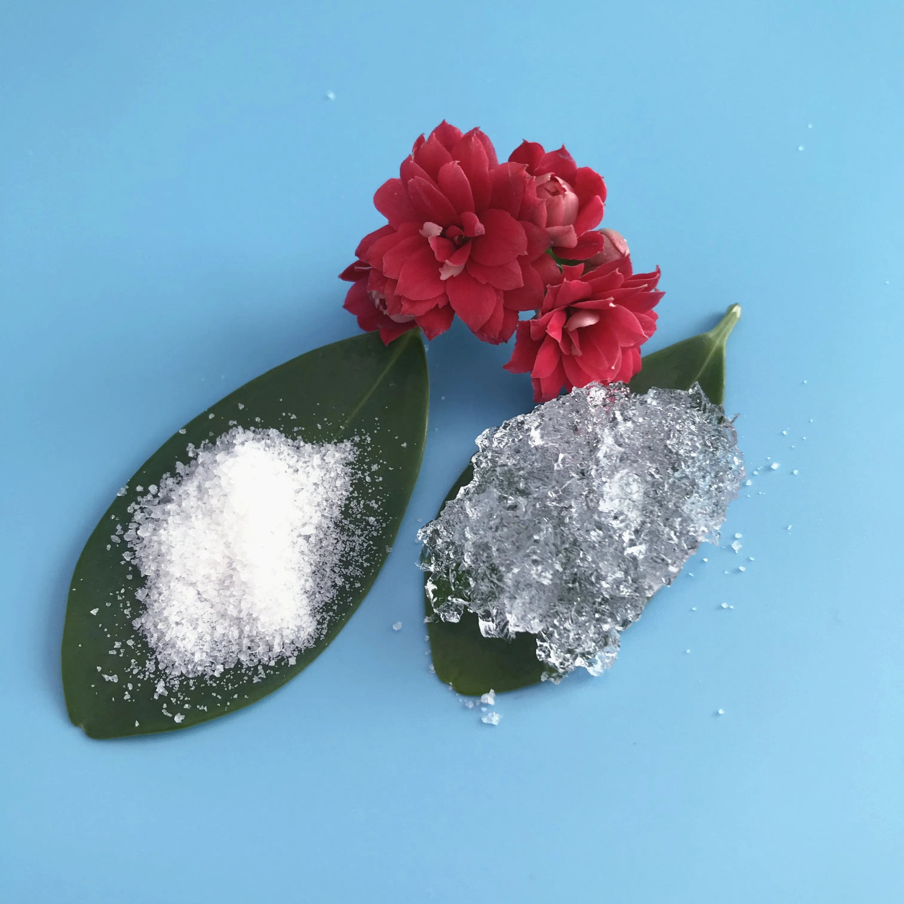 Cheap Price Super Absorbent Polymer Agriculture Polymer Sap Crystals Raw Materials