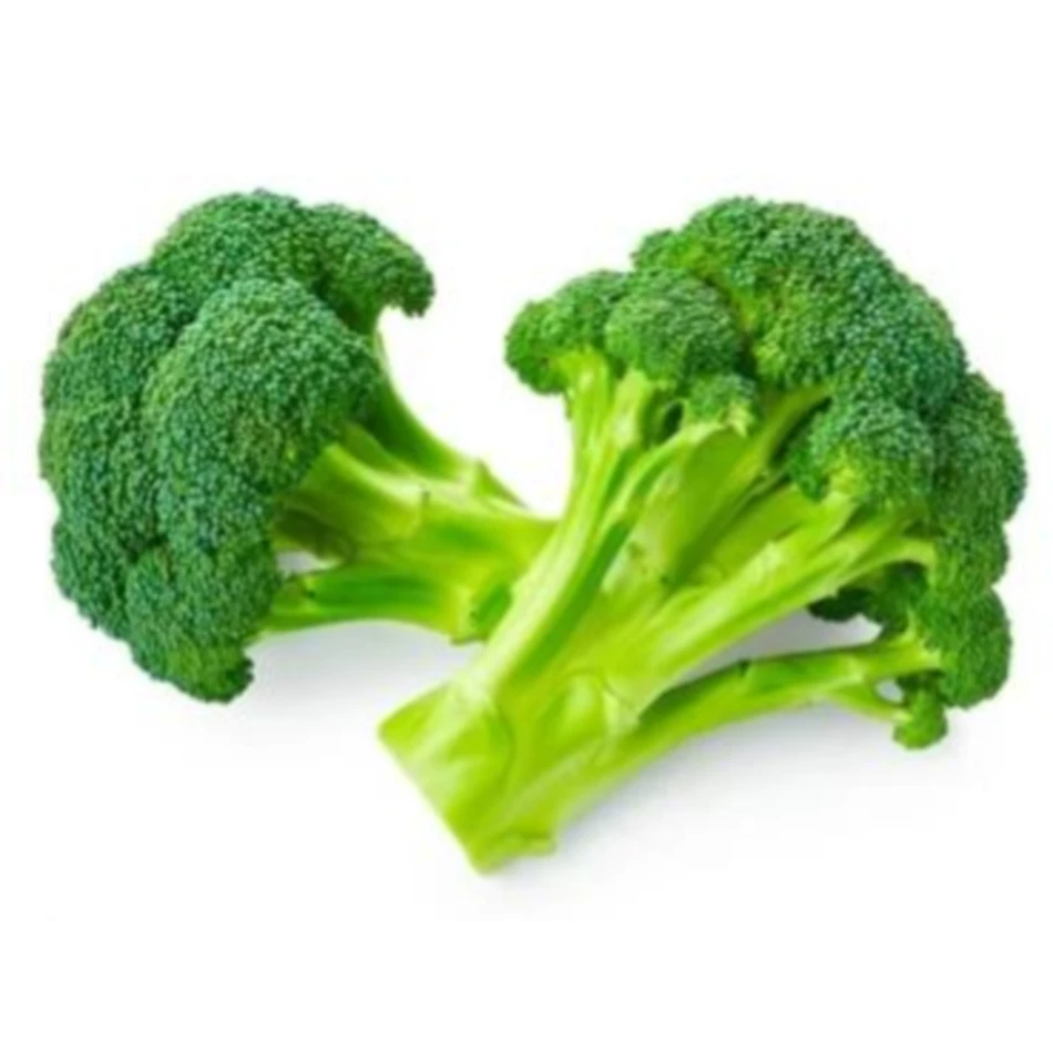 Wholesale Price Natural Organic Brocoli Vegetable Fresh Broccoli