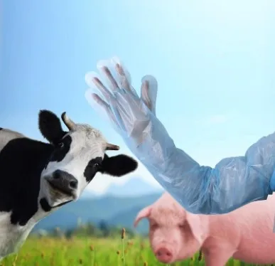 Vet Artificial Insemination Tools Shoulder Protect Touchntuff Plastic Veterinary Full Arm Gloves 90cm