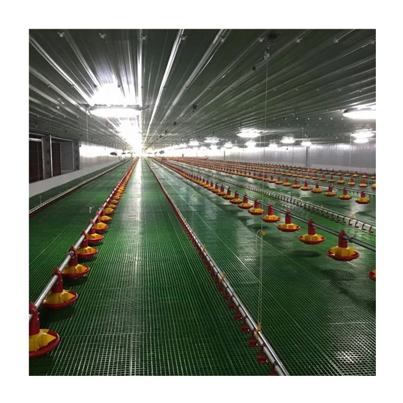 Advanced Design Complete Broiler Chicken House Poultry Farm Machine
