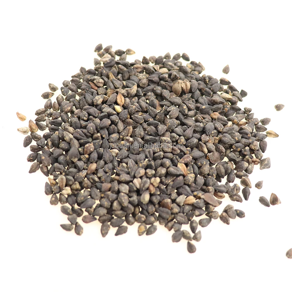 Healthy Food China Traditional Round Buckwheat Tea Tartary Buckwheat