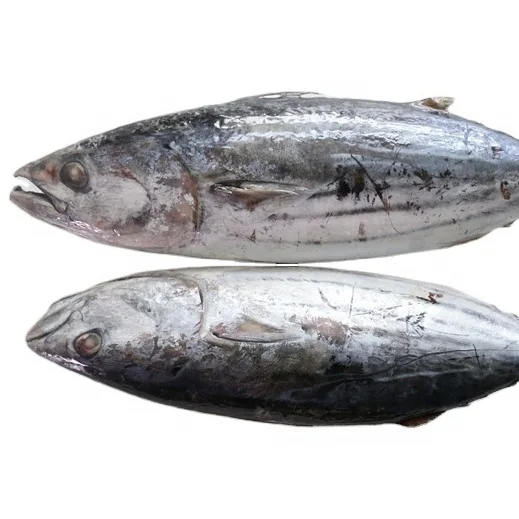 Хорошего качества по оптовой цене свежие замороженные пропустить Джек рыбы желтоперый тунец для продажи