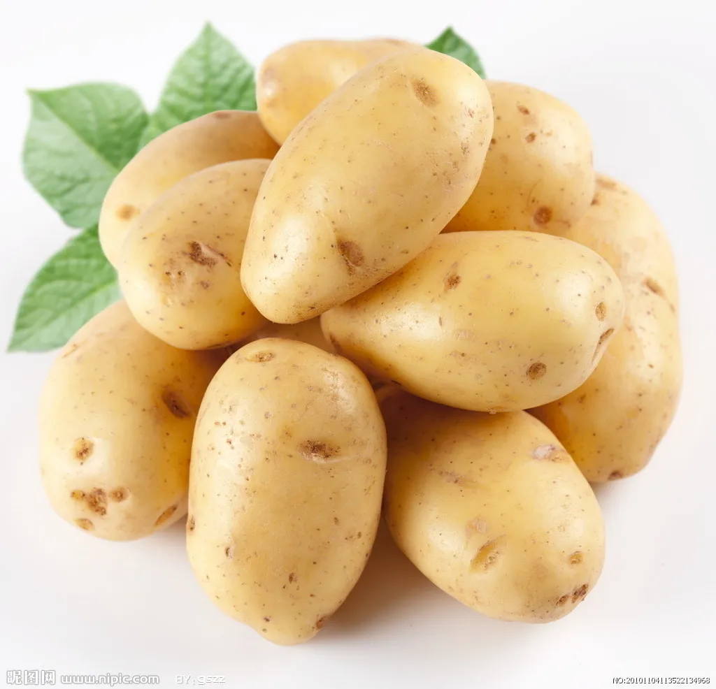 
high quality potato from shandong 