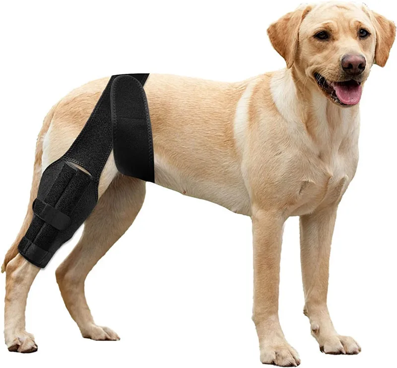 Wholesale Pet Dog Prevent licking Neoprene Leg Knee Brace Support Protective cover for Hind Leg Injuries