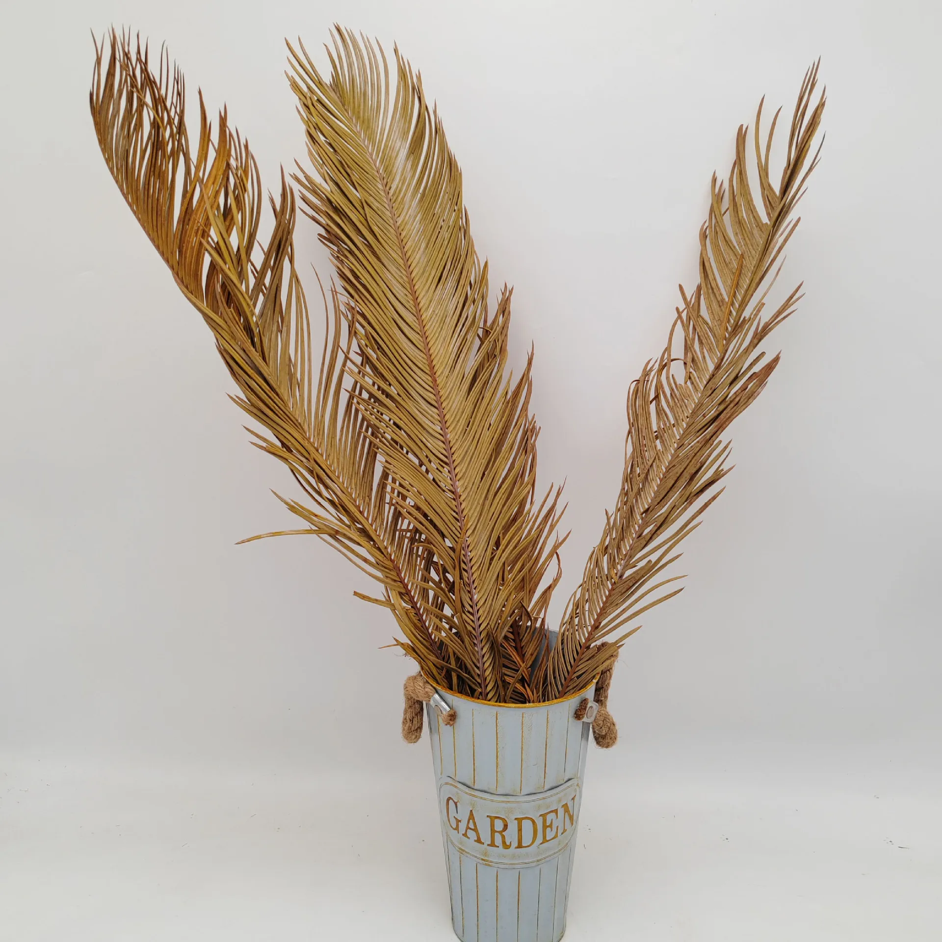 Cycas Leaf Pinnate Leaf Cycas Revoluta Thumb Preserved Flowers Sago Leaves Dried For Wedding Decoration Popular