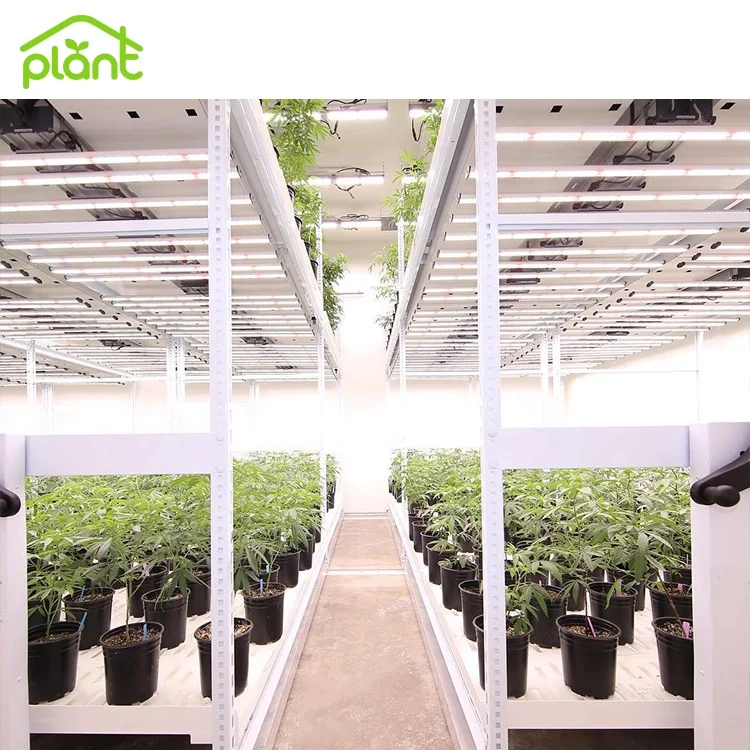 Mobile Multilayer Grow Racking System Microgreens Rack Indoor Plant Racks