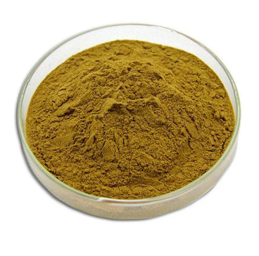 Good Quality Oregano Powder Dried Oregano Leaves Extract Powder Carvacrol 99% Oregano Extract