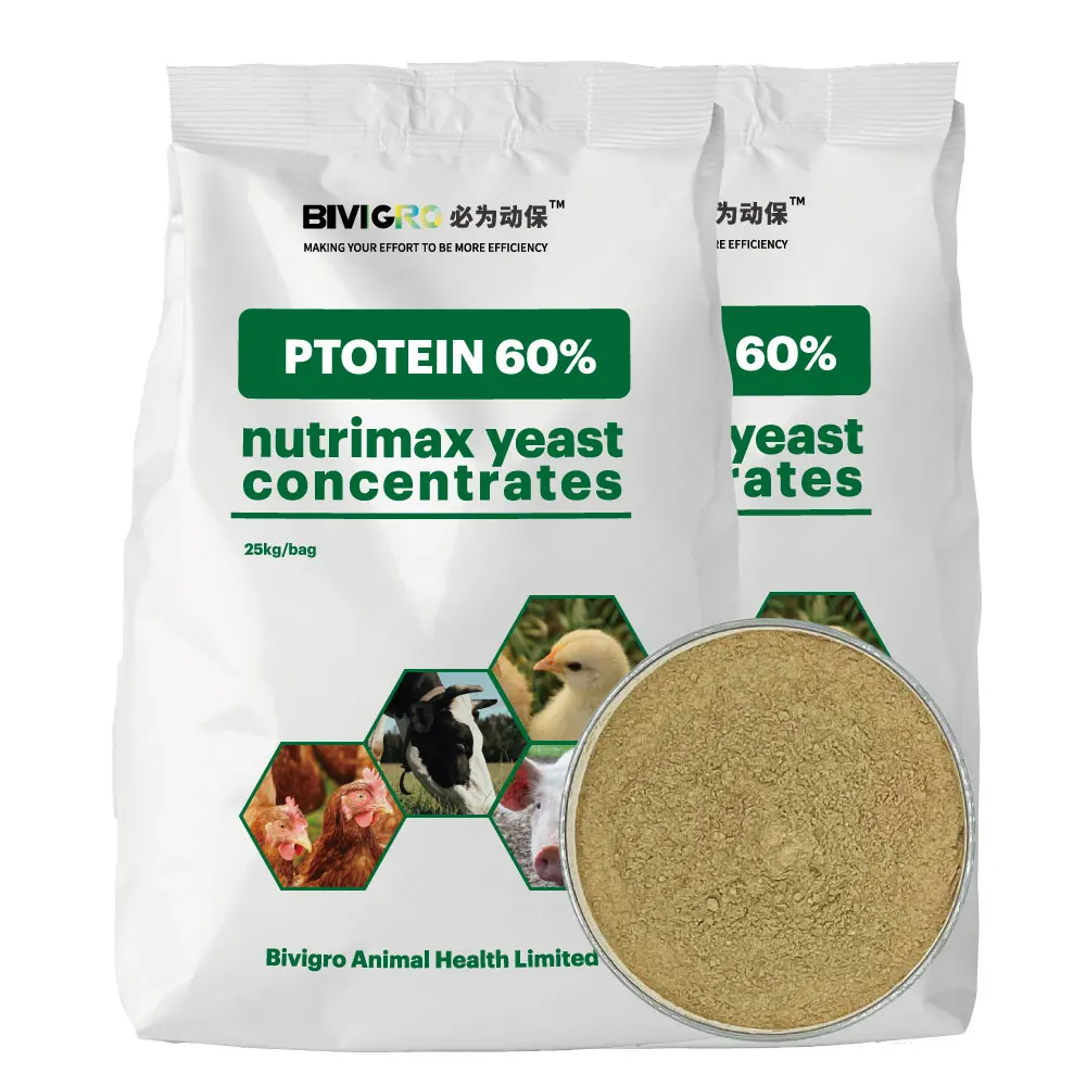 Supply Chicken Feed Protein Yeast Protein Manufacture SCP 64% Nutrimax