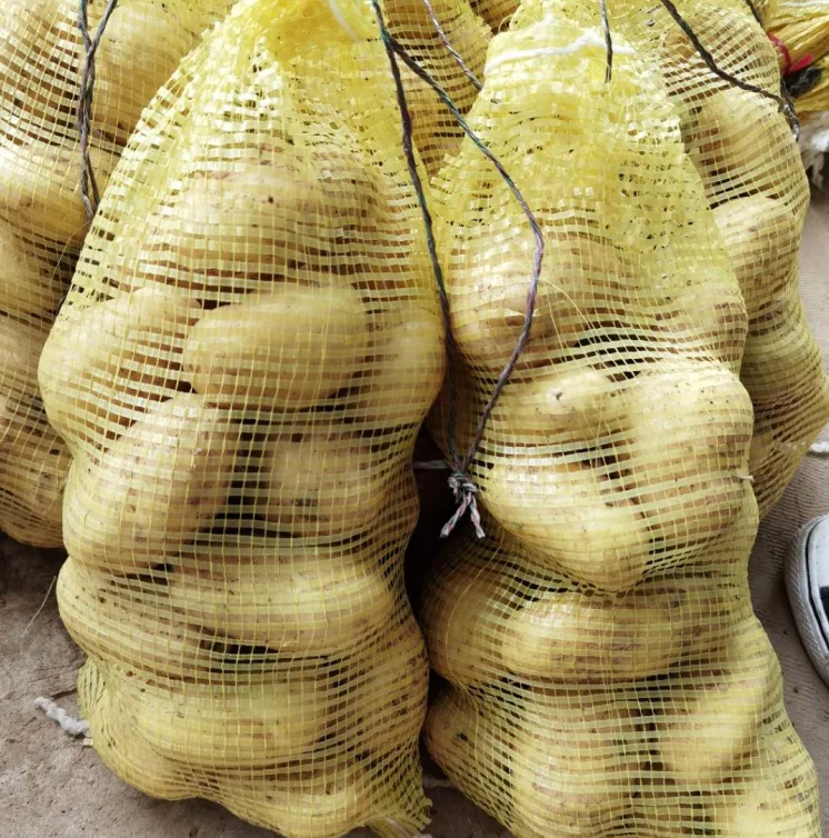 New crop fresh potato 80/150g China hot sale Holland potato export