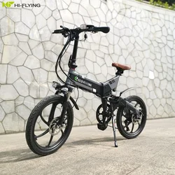 European Warehouse Eco-flying Limited 2 Wheels Electric Bicycle 36V 250W City Adult Electric Bicycle