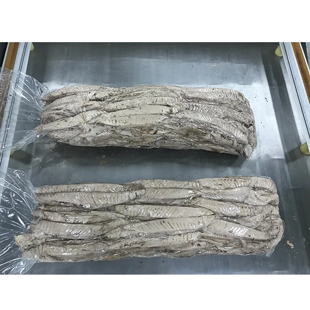 Frozen Precooked Skipjack Tuna Fish Loin