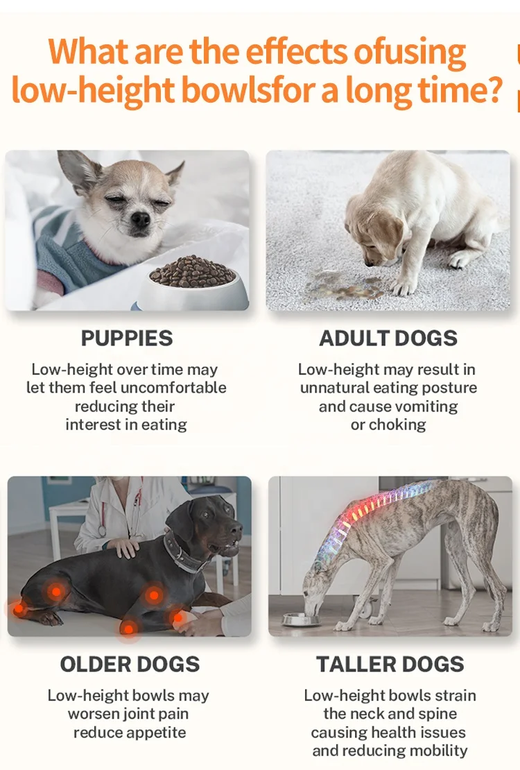 Anti-Slip Stand Raised Dog Feeder Elevator With Stainless Steel And Slow Blow