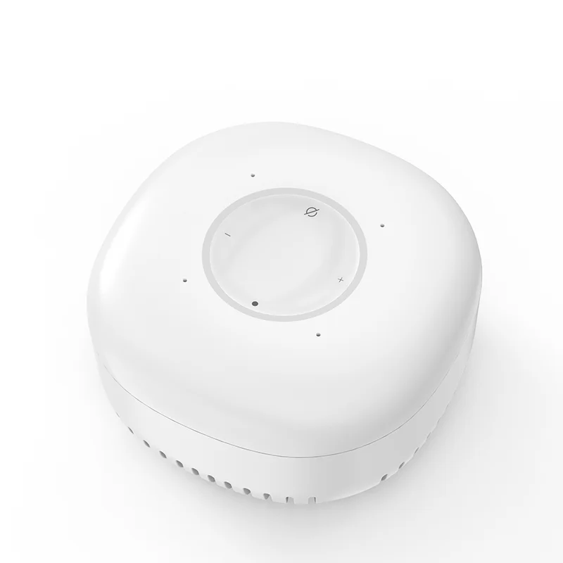 Smart IR Alexa speaker Wireless Universal remote control built-in Indoor siren  AVS multi-function hub