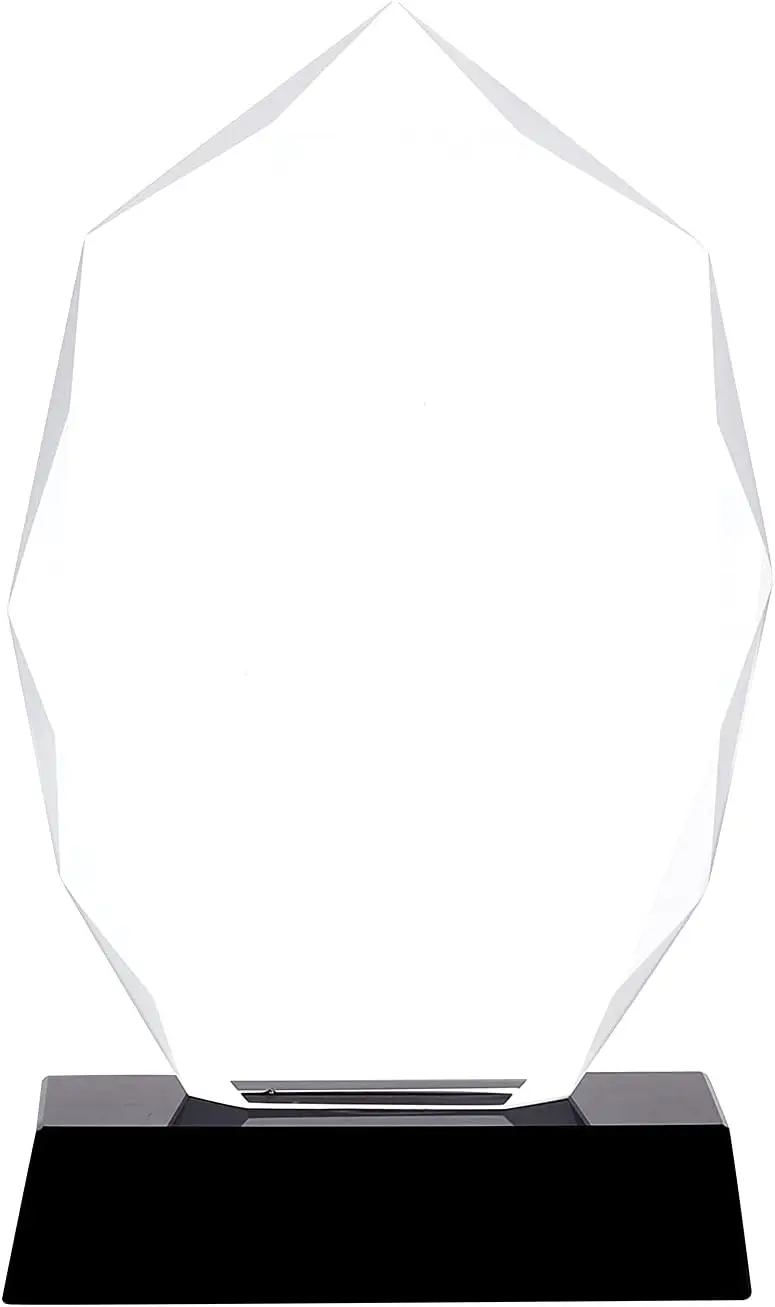 Acrylic Award Custom Logo Carved Blank Acrylic Trophy With Base