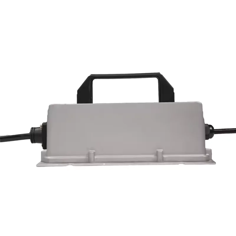 DDP DAP 500W 600W 25A 20A 15A 10A 8A 7A lead acid lithium lifepo4 battery Charger 12V 24V 36V 48v 60V Forklift Chargers