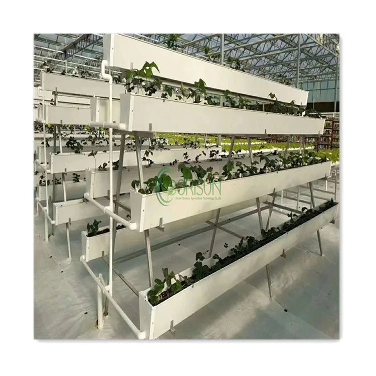 Agricultural Galvanized Steel Frame Strawberry Melon Vertical Fodder Irrigation Nft System Hydroponics