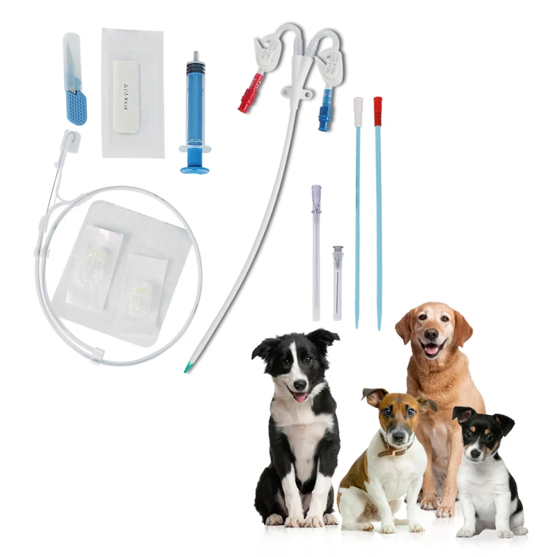 Double Lumen Catheter Kit for Veterinary Hemodialysis Hot Sale Triple Lumen Dialysis Catheter Reliable Medical Temporary