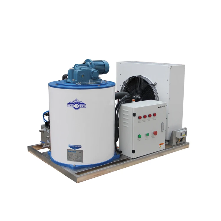 Factory direct sales ice flake machine 30 per day
