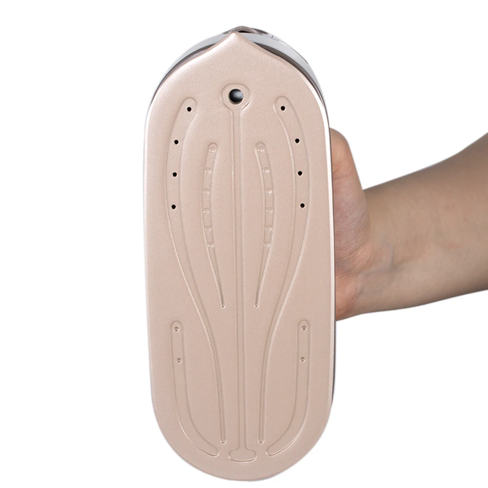 1800W Vertical steaming High temperature steam Electric Steam Iron