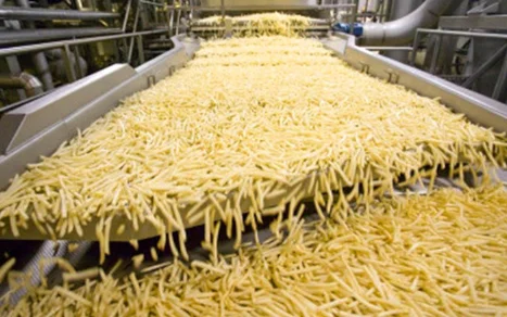 304 Stainless Steel Automatic Small Potato Powder Chips Machine Making