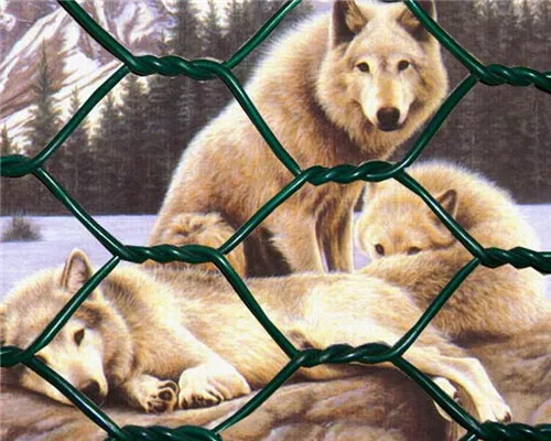 Hot Dip Galvanized Zinc Coated 15m Roll Cyclone Wire Diamond Mesh Farm Chain Link Fence PVC Coated Steel for Garden