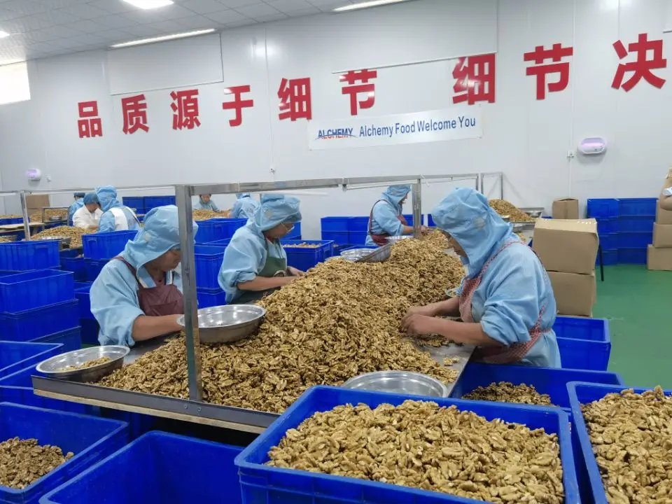 walnuts prices usa from thailand in germany
