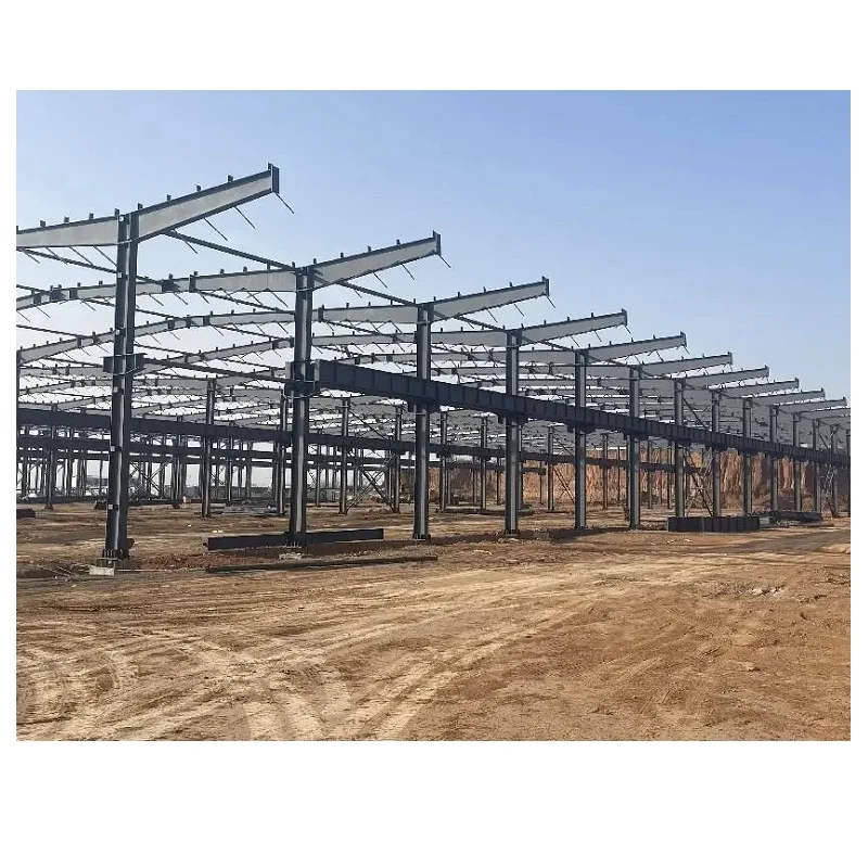 Прединженерные стальные конструкции здания складского ангара с тентовыми проектными работами