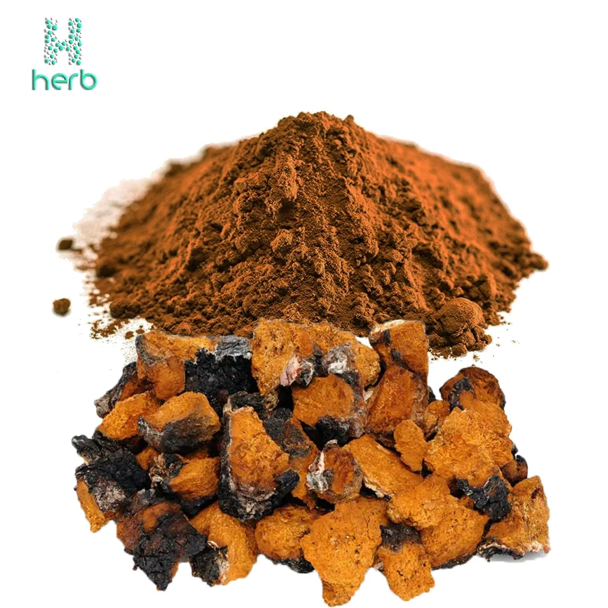GMP Organic Water Soluble Chaga Mushroom Extract Powder