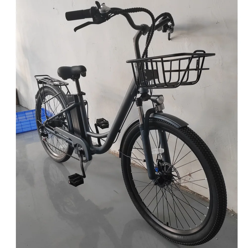 Factory directly selling city Electric Bicycle (FP-EB24002)