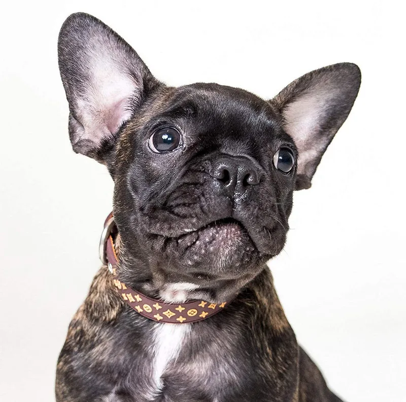 Wholesale Luxury Designer Strong Nylon  Dog Collar With Waterproof Rubber And Metal Hardware