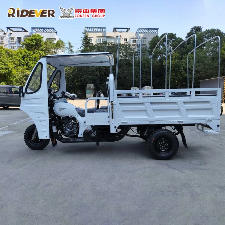 Zongshen Hongyun Cargo and Passenger 175cc Carry cargo motor tricycle  tricycle motorized tricycles trike motorcycle cycle
