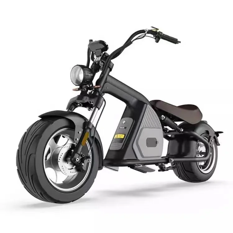 Popular Electric Scooters Fat Tire  2 Wheel with Removable Lithium Battery and  3 Speeds