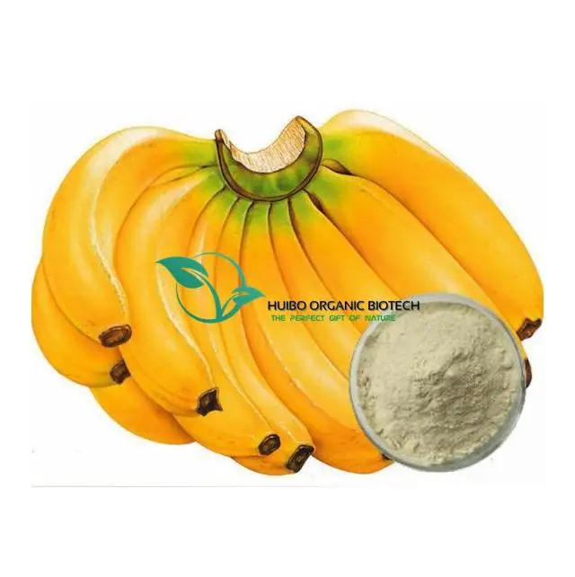Wholesale bulk instant Banana powder / FD green banana flour