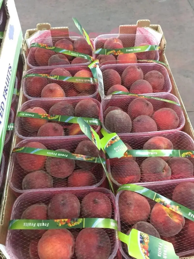 Оптовая продажа, греческое происхождение, 100% натуральный свежий розовый персик для экспорта по лучшей цене