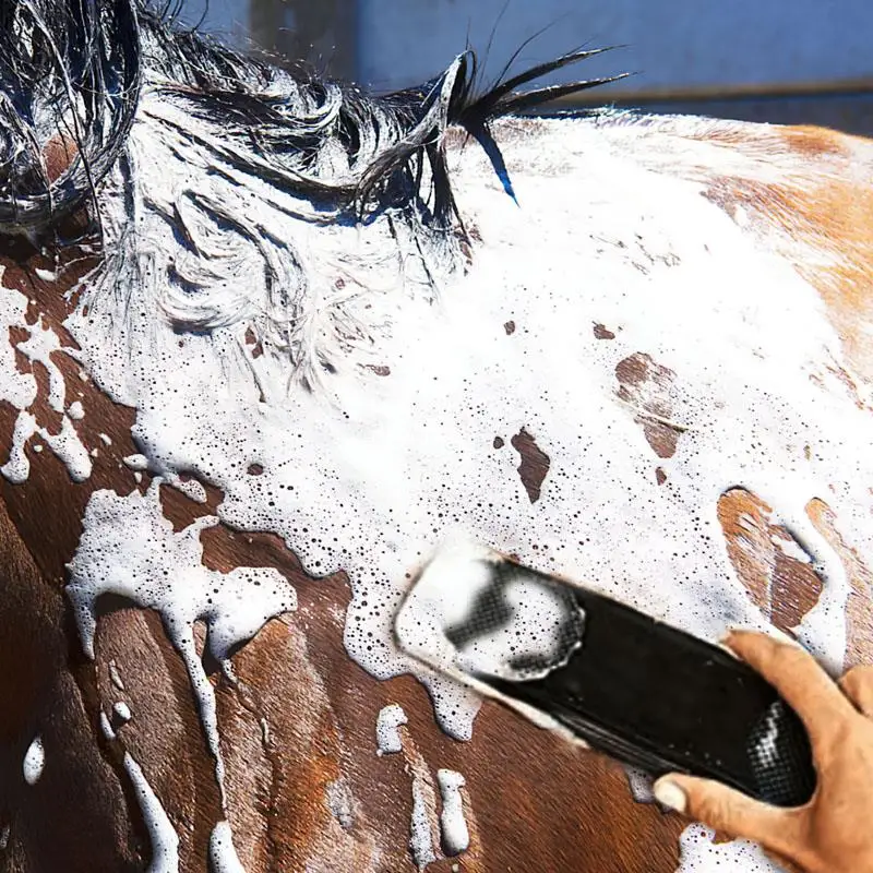 Gentle Grooming Brush Original for Horses Dogs 6-in-1 Shedding Massage