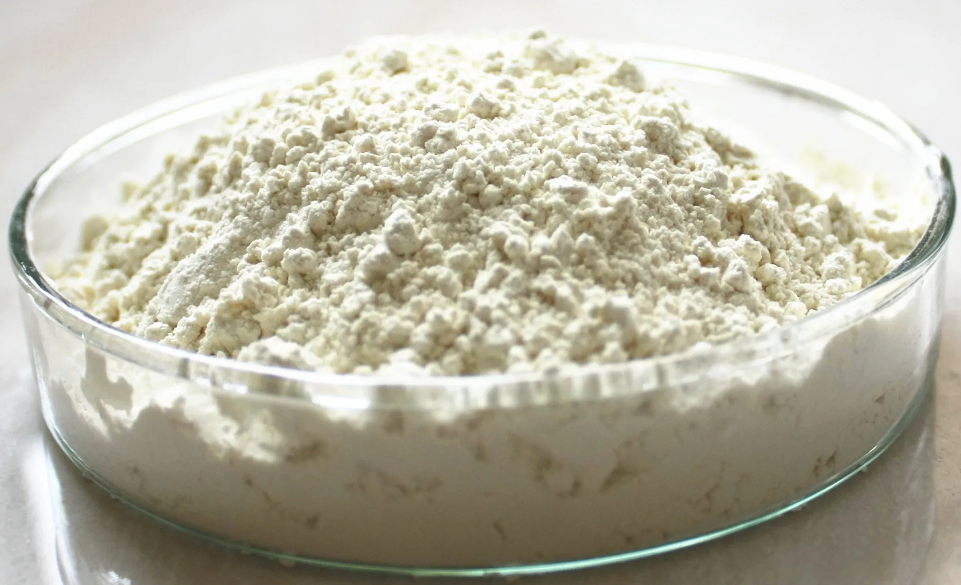 Wholesale Bulk Cyanotis Arachnoidea Extract 98% Beta Ecdysterone Powder