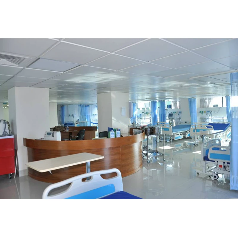 ICU Four Functions Manual Hospital 4 Cranks Bed