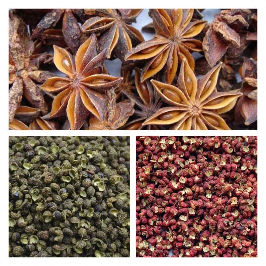 Сушилка с циркуляцией горячего воздуха, 12 тележек, сушильная печь для перца и аниса для приправ