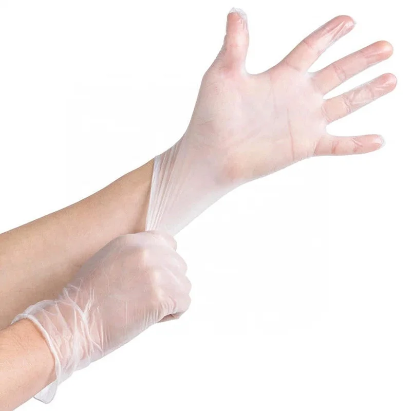 No Powder No Latex Non-Sterile Disposable Vinyl Gloves for All Purposes Gloves