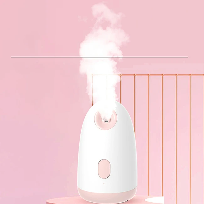 Humidifier Mini Handy Facial Steamer  Professional Steamed Face Instrument