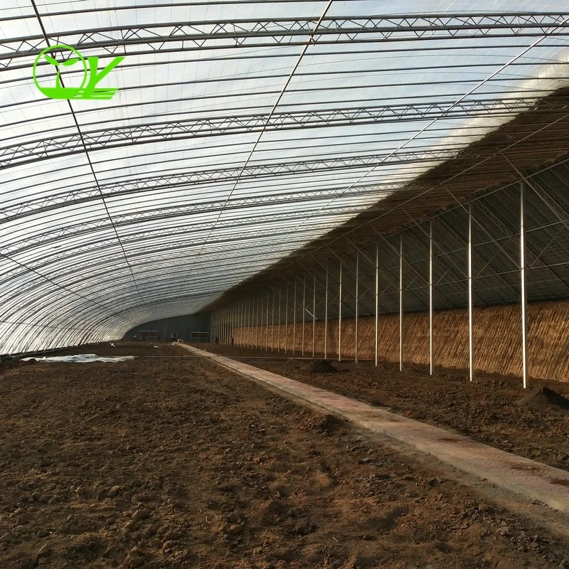 Industry best-selling green greenhouse tunnel greenhouse hydroponic system