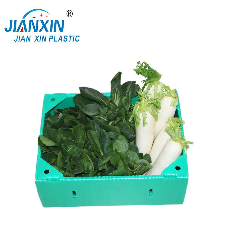 Customized Fruit /Vegetable Packaging Corrugated Plastic Box Corrugated Storage PP Packing Boxes for fruits and vegetables