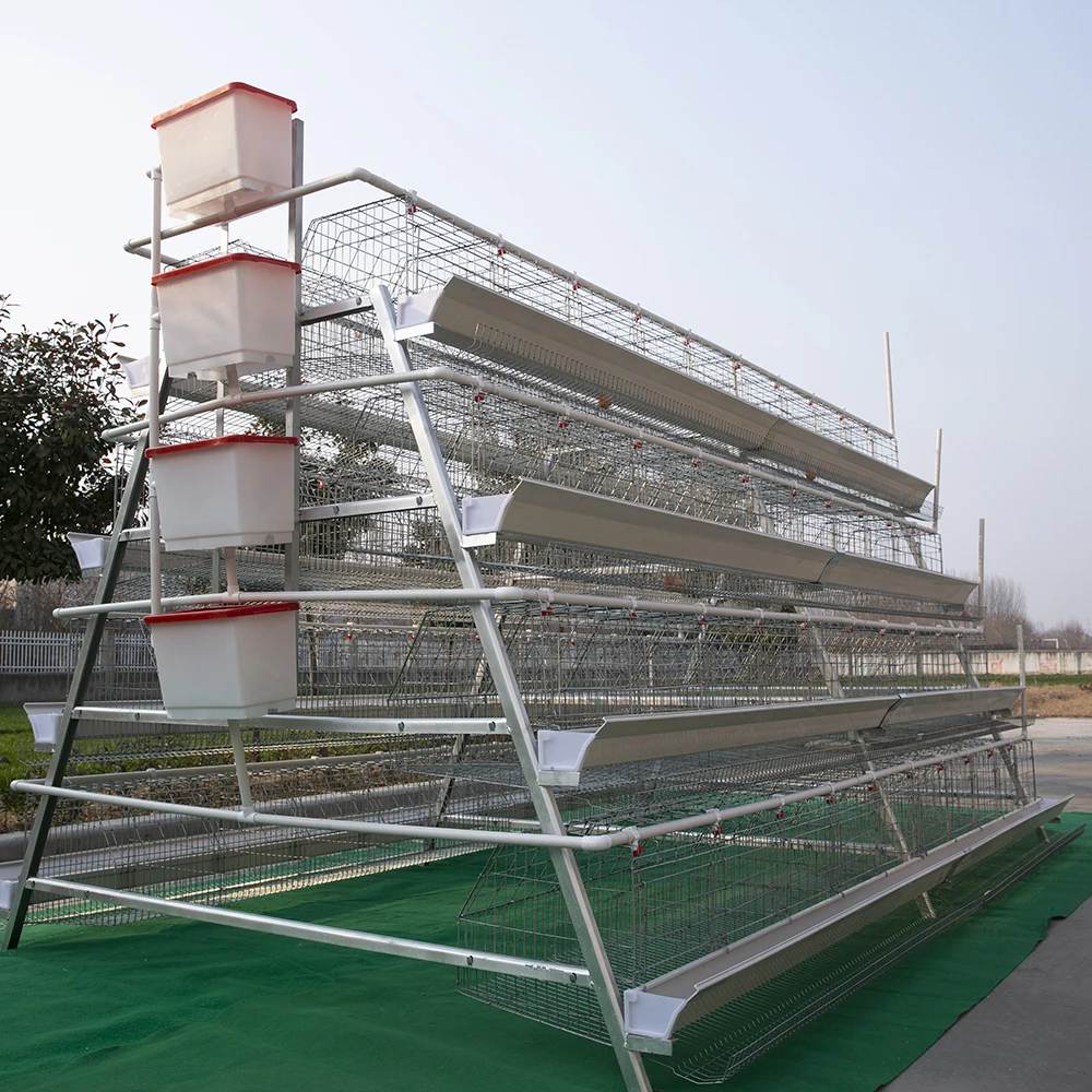 3-4 Layer High Capacity Egg Layer Chicken Cage Poultry Farm Chicken Housechicken Coop Houses Motor Chicken Nesting Box Provided