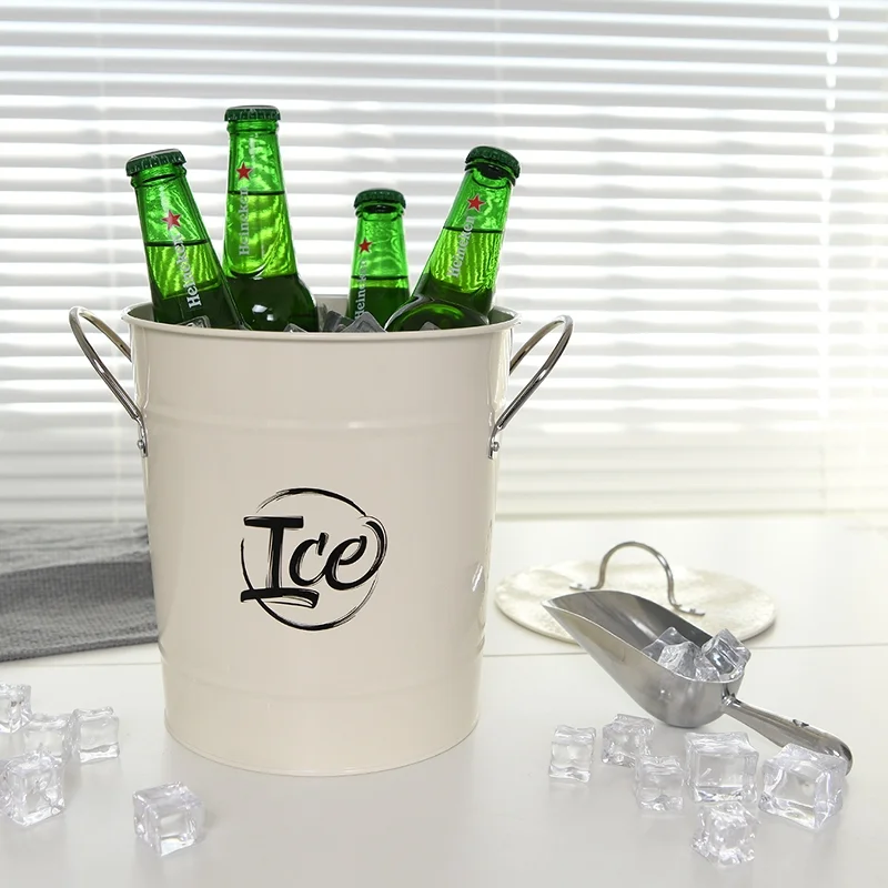 Ice bucket with plastic liner and ice scoop