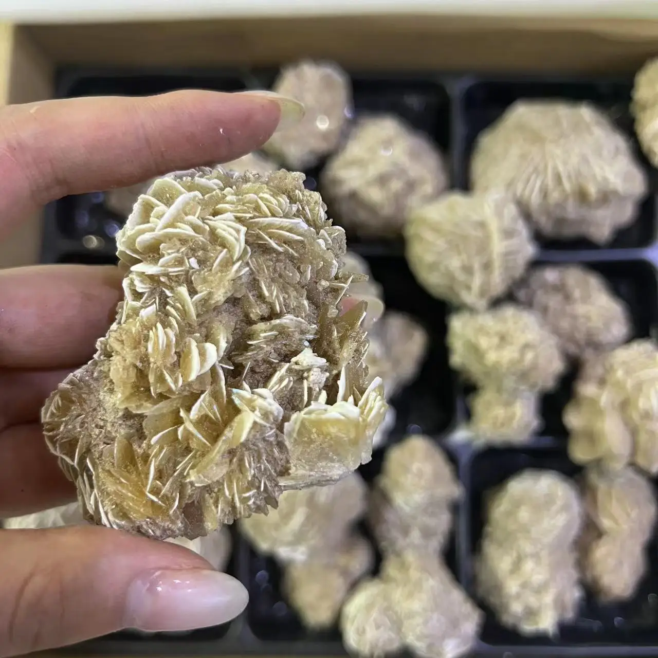 Natural Selenite Desert Rose Raw Crystal Stones Healing Stones Desert Rose For Christmas Decor